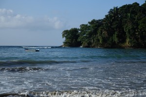 DSC04500